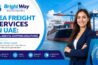 Sea Freight Shipping Services