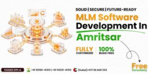 MLM Software Development Company in Amritsar