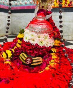 Ujjain Kaal Sarp Dosh Puja – Book Today