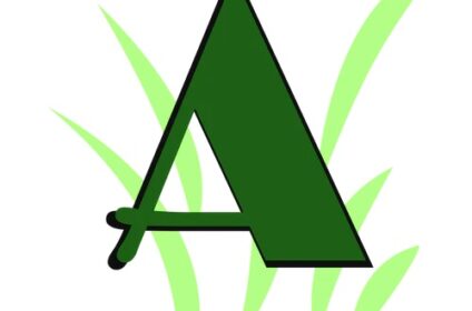 Artificial Grass Supplier Melbourne – Ausgrass