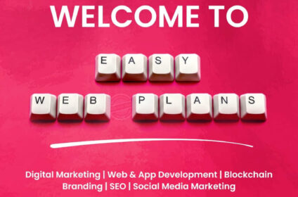 Easywebplans IT LLC- SEO Agency