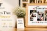 Forever Frames