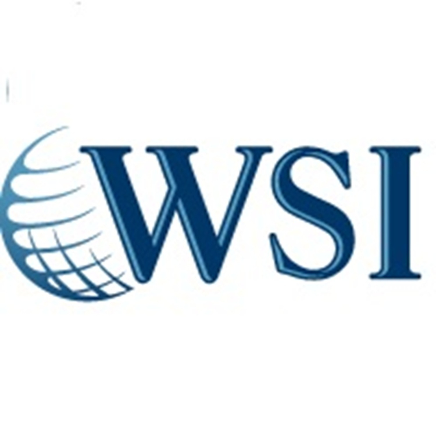 WSI Internet partner