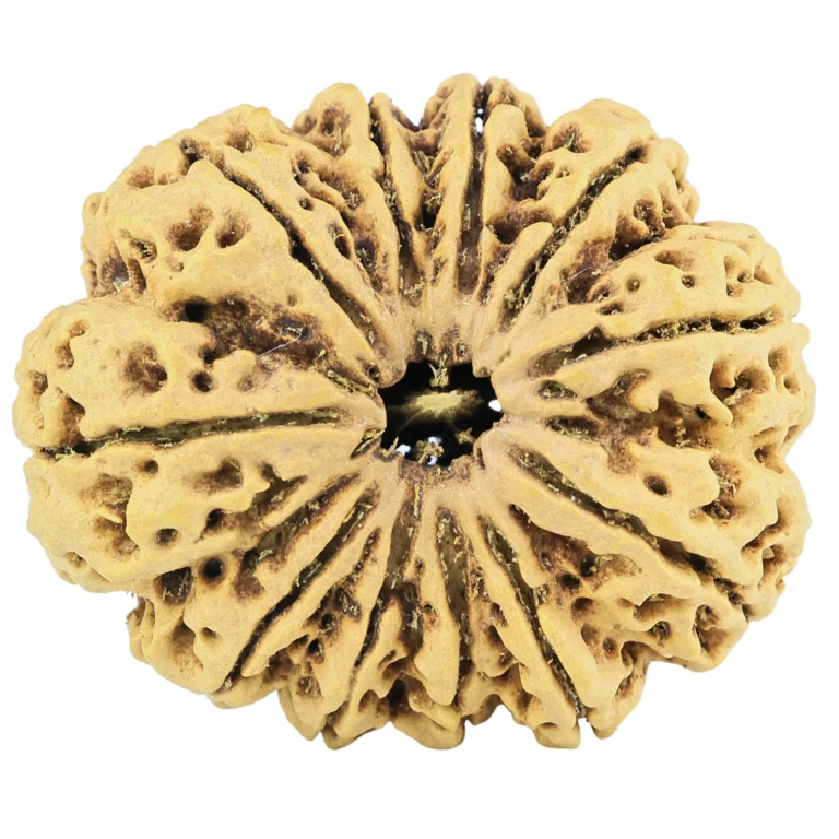 Rudraksha Sanskar