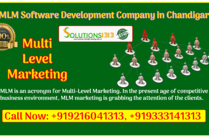 Solutions1313- MLM Software Development Company