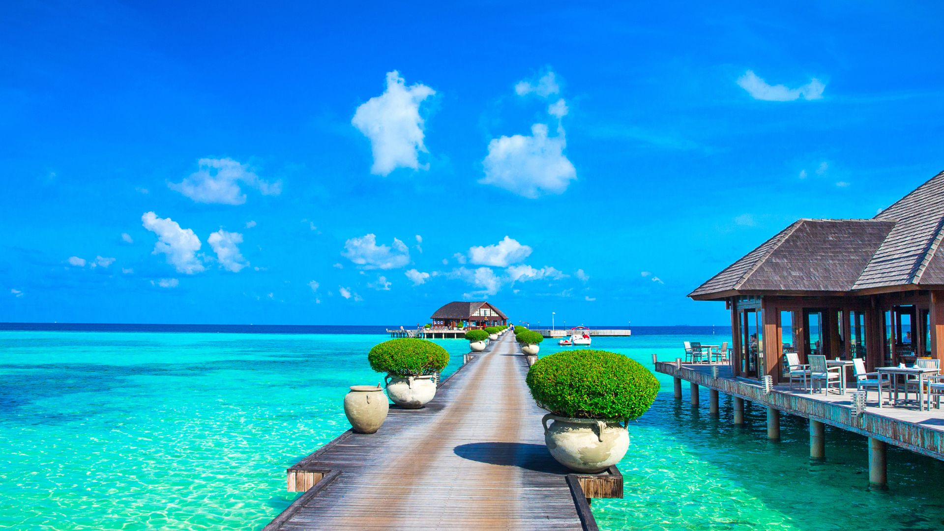 Vibrant Holidays