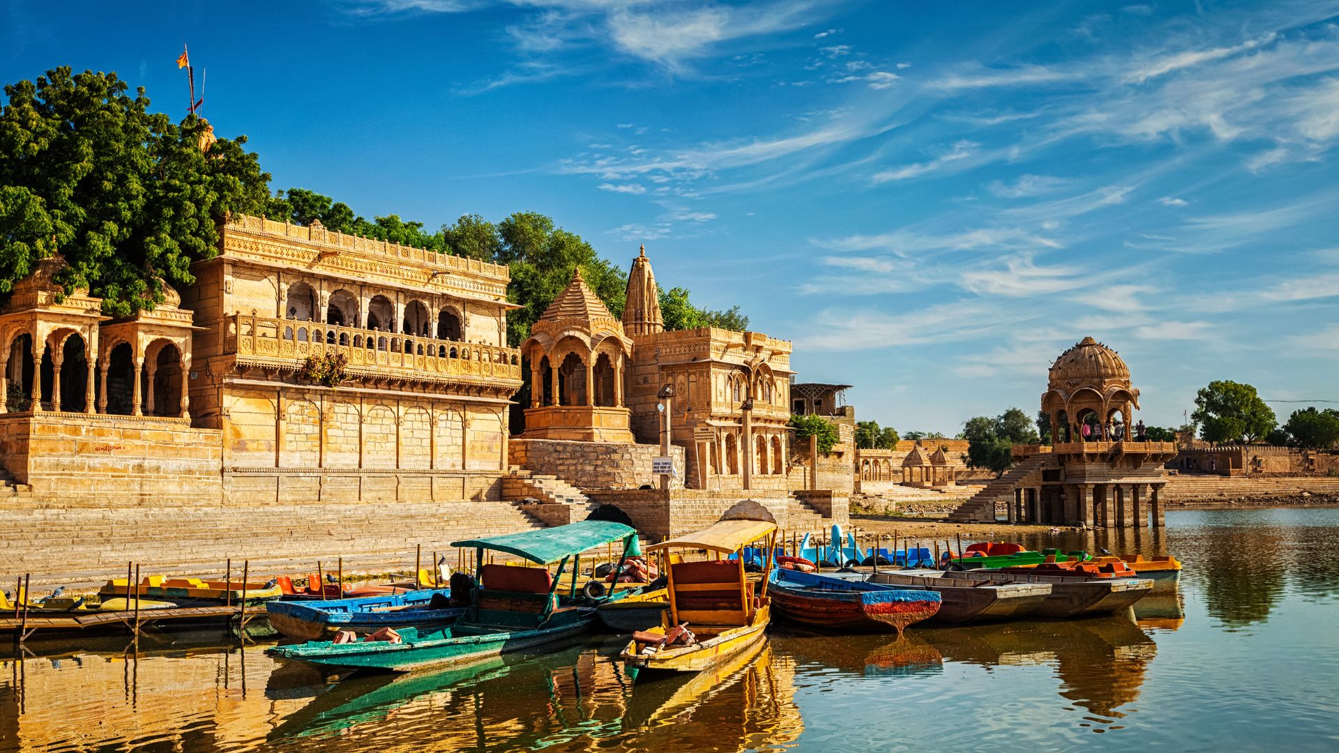 Vibrant Holidays