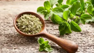 Tastyfood Oregano