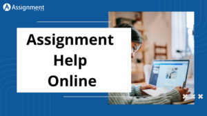 Assignment Help Pro