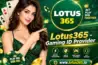 Lotus365