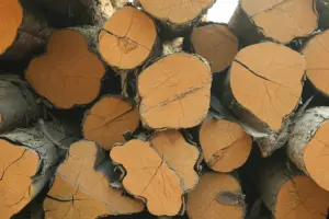 Vinod Agencies - Teak Wood Exporter