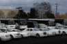 Toronto Limousine