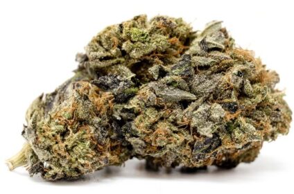 BC Buds