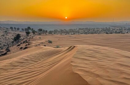 Desert Safari Abu Dhabi