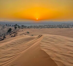 Desert Safari Abu Dhabi