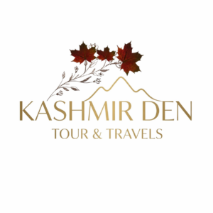 Kashmir Den Tour & Travels