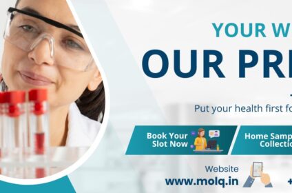 Molq Lab