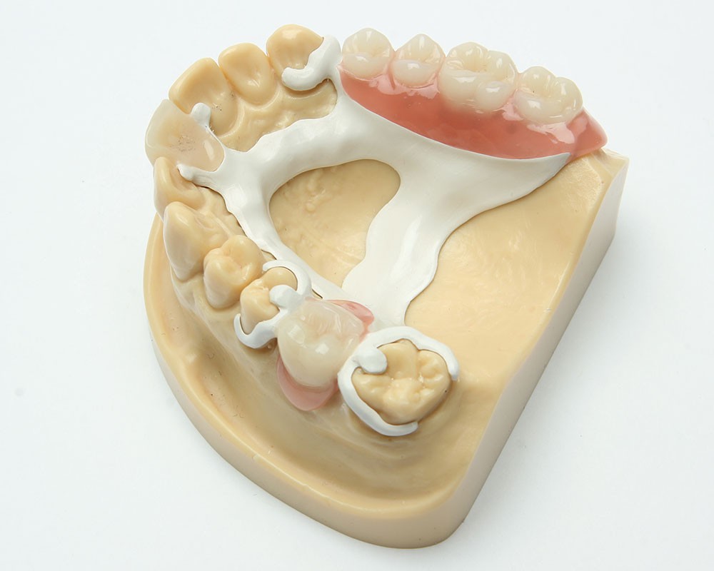 Rise Dental Technology Limited