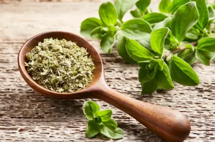 Tastyfood Oregano