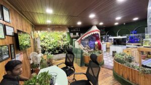 Aquarium Shop | Aquarium Fish & Plants – Blessings