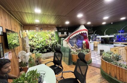 Aquarium Shop | Aquarium Fish & Plants – Blessings