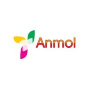 Anmol Bakery Machines