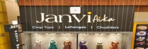 Janvi Aika Traditional Party Wears