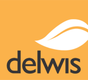 Delwis Healthcare
