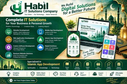 Habil IT Solutions Company Purnea Bihar