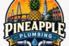 Logo - Pineapple Plumbling