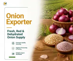 DeliFro Foods –  Export Company from India