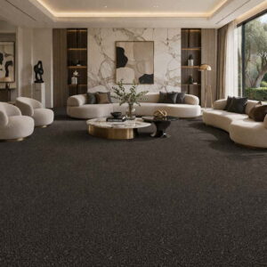 Modern Carpet