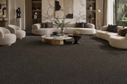 Wall-to-Wall Carpet Roll