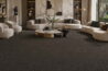 Wall-to-Wall Carpet Roll