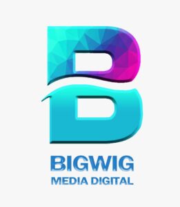 Bigwigmediadigital Top Influencer Marketing Agency in Delhi