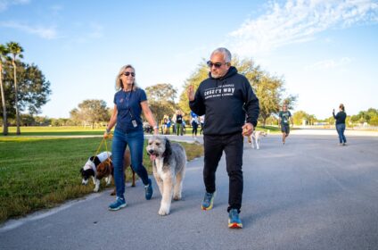 Dog Training