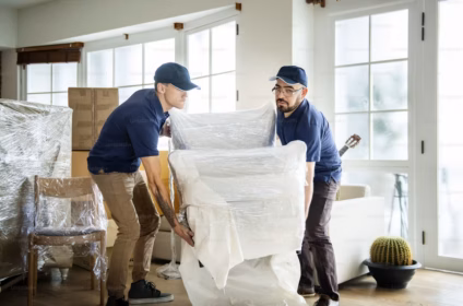 associated cargo movers and packers pvt ltd