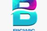 Bigwigmediadigital Top Influencer Marketing Agency in Delhi