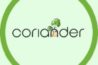Coriander