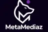 MetaMediaz – Featured Image