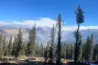 Kedarkantha trek