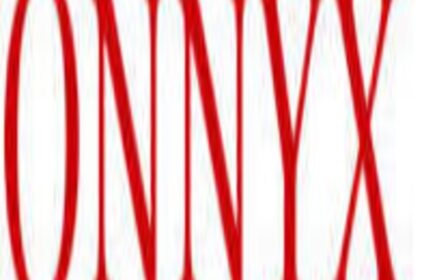 Onnyx
