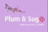 Plum & Sugar JP Nagar