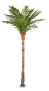 Shweta Enterprise – Artificial Plants & Grass