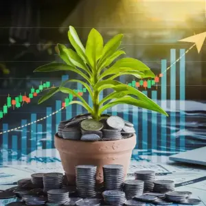 Alpha Moneyplant