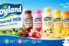 7044047516 Joyland Flavoured Milk