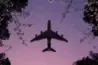 AirlinePolicyInfo