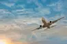Airlines Terminals