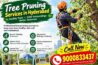 Archana tree cutting services