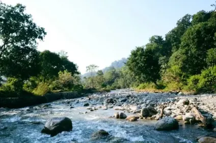 Corbett Booking